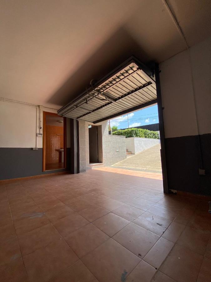 Palmeras Villa Tarragona