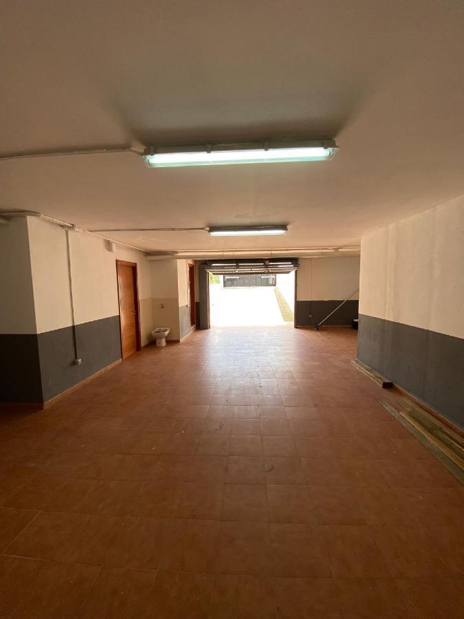 Palmeras *