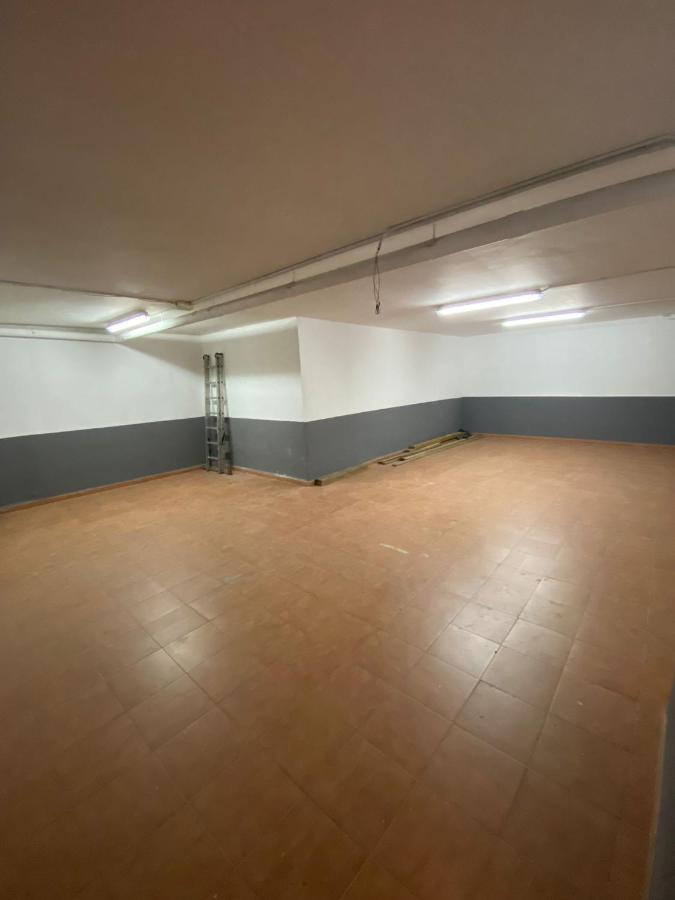 Palmeras Tarragona